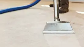 Carpet cleaning wand head gliding over a light carpet during hot-water extraction, Jackson, MS.