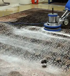 Professional rug cleaning with a rotary floor machine and shampoo foam, deep-cleaning an area rug Jackson, MS.